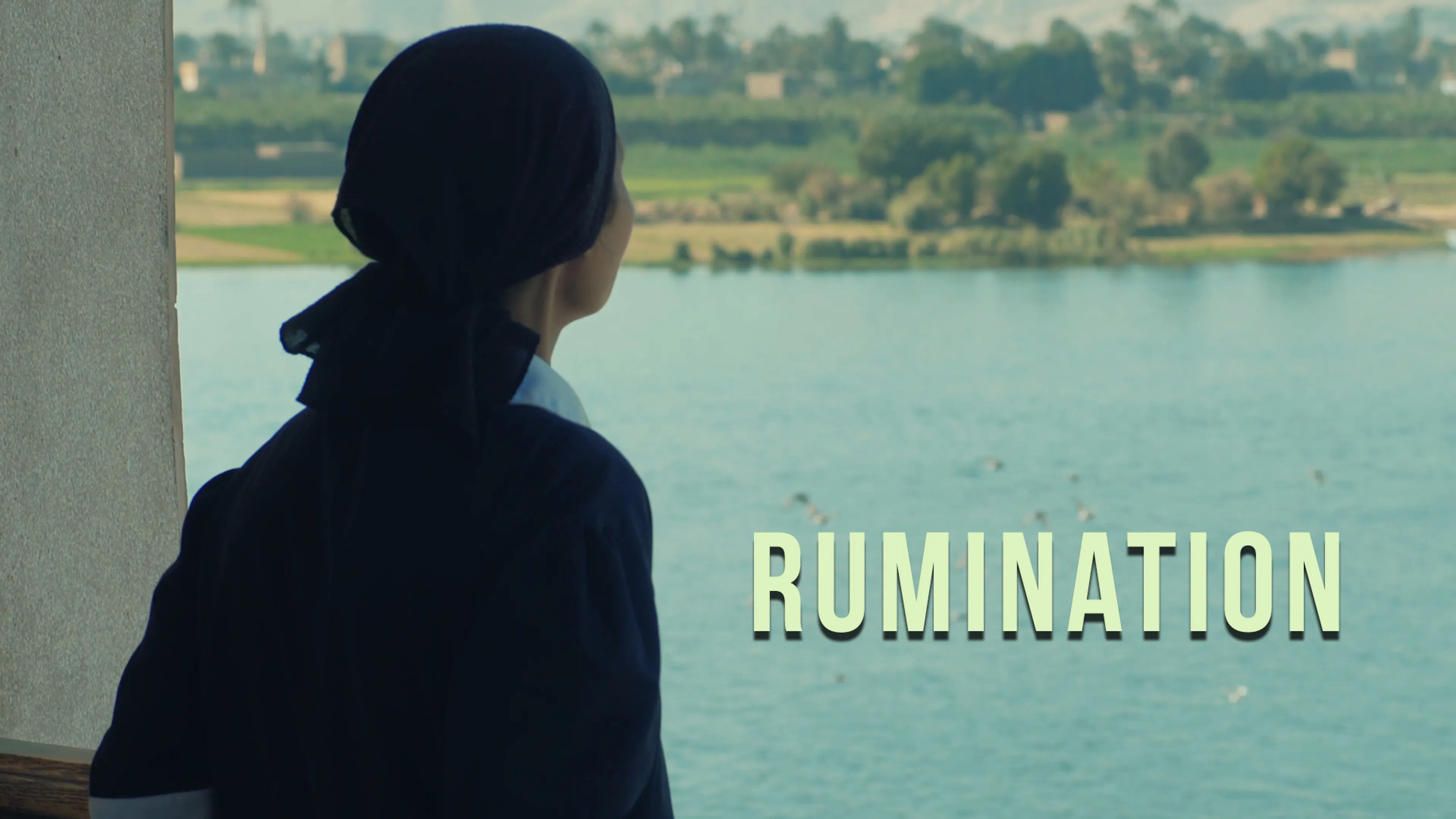 Rumination poster